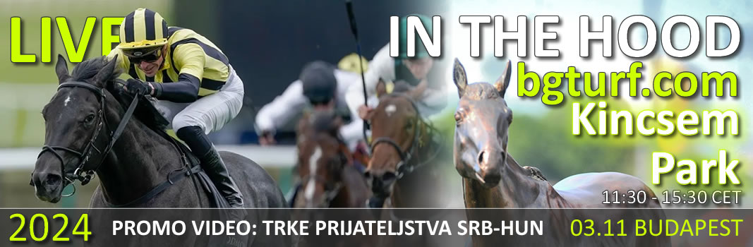 bgturf bratislava galop