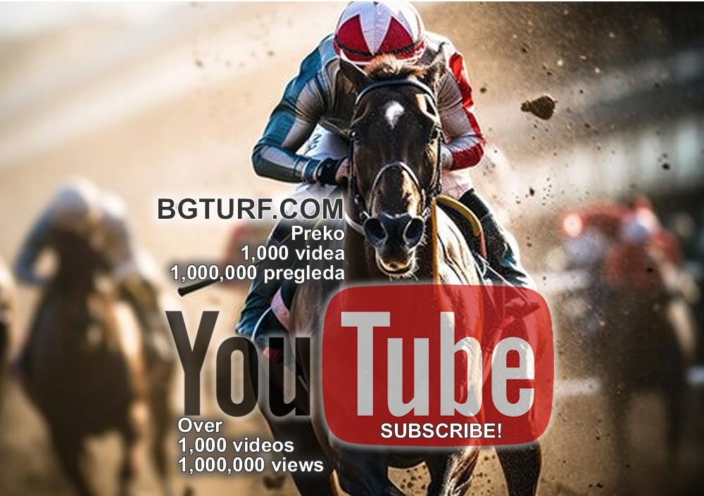 bgturf live race races gallop