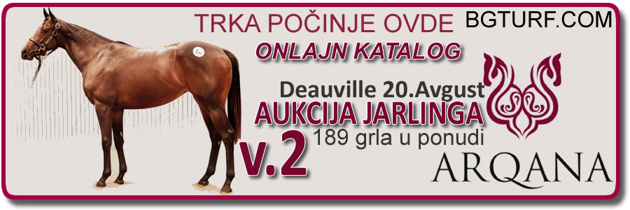 bgturf rhett butler galileo kk ivanoivć pastuv